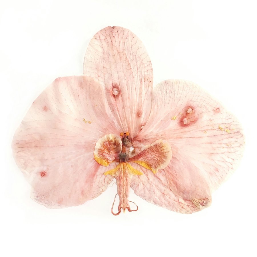 Flor prensada